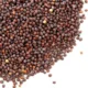 Sarson (mustards ) seeds