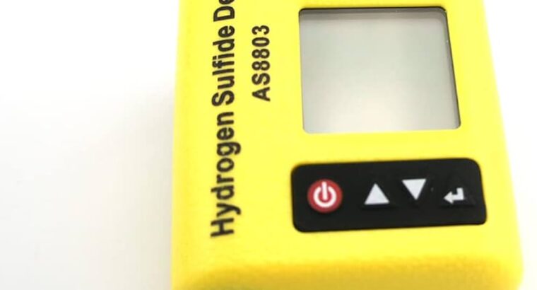 Hydrogen Sulfide (H2S) Gas Detector