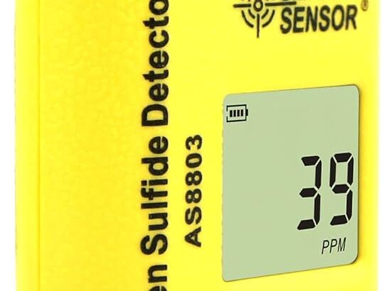 Hydrogen Sulfide (H2S) Gas Detector