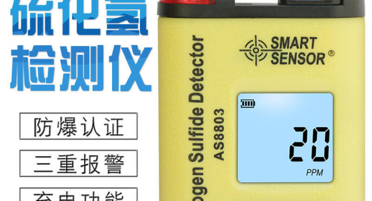 Hydrogen Sulfide (H2S) Gas Detector