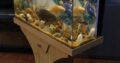 Wooden Aquarium