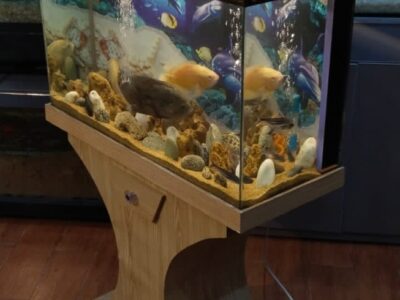 Wooden Aquarium