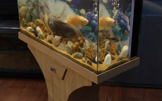 Wooden Aquarium