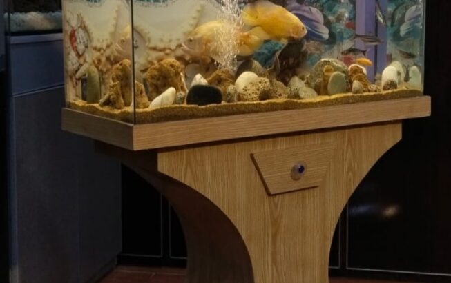 Wooden Aquarium