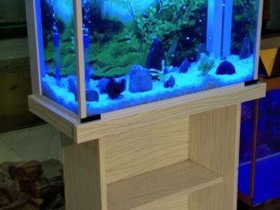 Black n White Aquarium