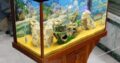 Fancy Wooden Aquarium