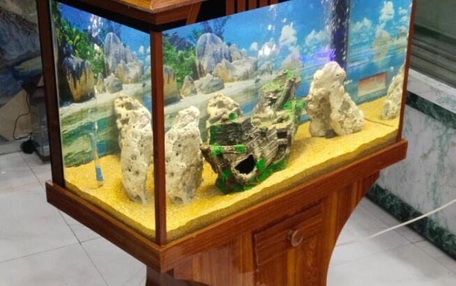 Fancy Wooden Aquarium