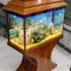 Fancy Wooden Aquarium