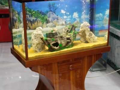 Fancy Wooden Aquarium