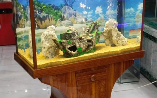 Fancy Wooden Aquarium