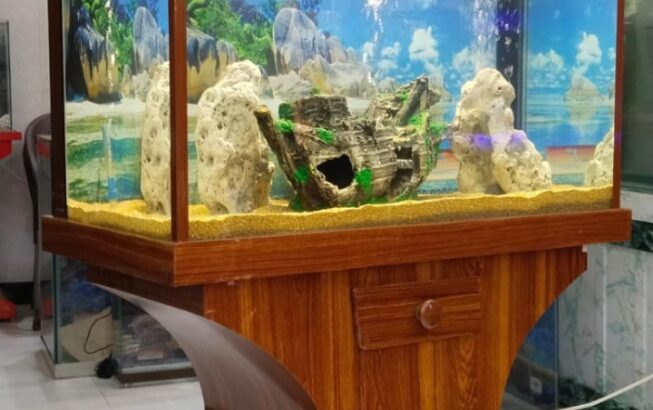 Fancy Wooden Aquarium