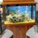 Fancy Wooden Aquarium