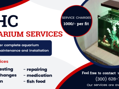 DHC Aquarium services