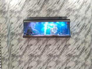 Gray wall mounted aquarium