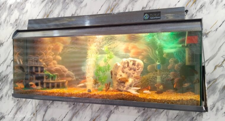 Gray wall mounted aquarium