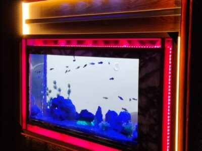 Infinity wall fitted aquarium