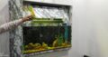 Infinity wall fitted aquarium