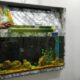 Infinity wall fitted aquarium