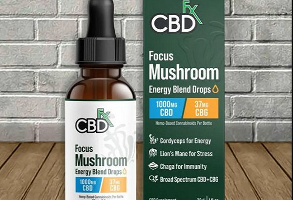 NEW Relax Blend Mushroom Tincture + CBN + CBD Price In Faisalabad – 03001597100 | ETSYPAKISTAN.COM