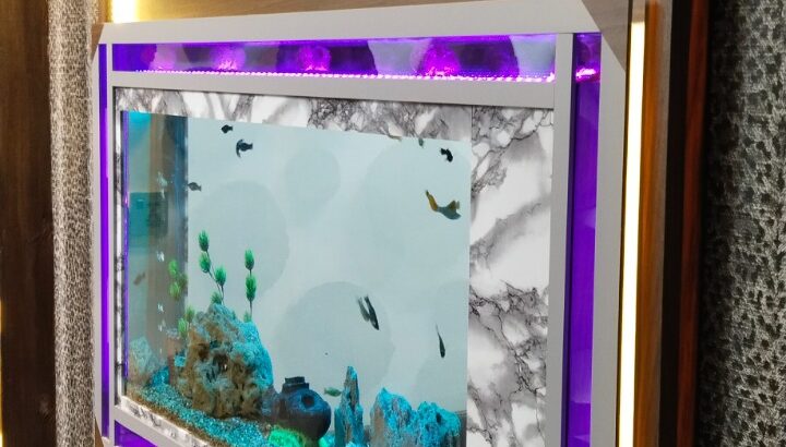 Infinity wall fitted aquarium