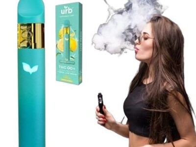 NEW Urb THC Infinity Disposable Vape | 3g In Quetta – 03001597100 – ETSYPAKISTAN.COM