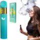 NEW Urb THC Infinity Disposable Vape | 3g In Quetta – 03001597100 – ETSYPAKISTAN.COM