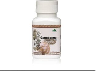 Ganoderma Plus Capsules Price in Faisalabad Order Now 030006682666