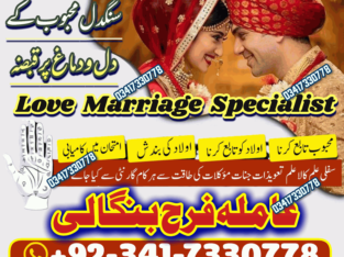 Husband Wife Problem Solution | Real Astrologer In Spain, France, Uk | Kala Jadu Wale Amil baba ka Number Karachi