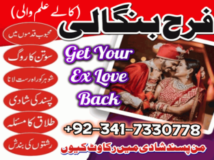 Husband Wife Problem Solution | Real Astrologer In Spain, France, Uk | Kala Jadu Wale Amil baba ka Number Karachi