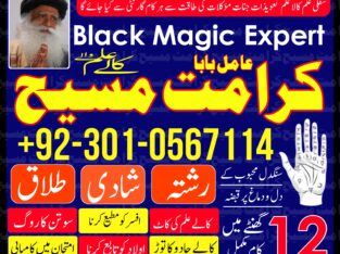 Best In France. Italy Top 1 Astrologer- Black Magic Specialist In France. Italy Contact Number