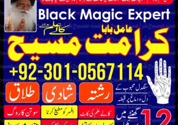 Best In France. Italy Top 1 Astrologer- Black Magic Specialist In France. Italy Contact Number