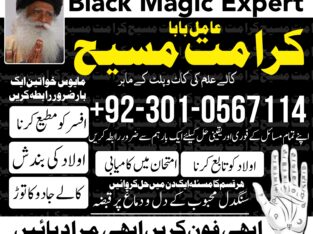 Best In France Top 1 Astrologer-Black magic specialist in italy france australia- amil baba kala jadu