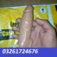 6 Inch Crystal Penis Condom In Karachi 03~261724676 Islamabad