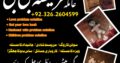 Kala jadu muhabbat control taweez contact number in Rawalpindi 03262604599