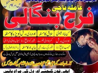 Husband Wife Problem Solution | Real Astrologer In Spain, France, Uk | Kala Jadu Wale Amil baba ka Number Karachi