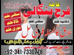 Husband Wife Problem Solution | Real Astrologer In Spain, France, Uk | Kala Jadu Wale Amil baba ka Number Karachi