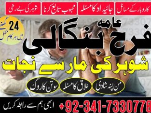 Husband Wife Problem Solution | Real Astrologer In Spain, France, Uk | Kala Jadu Wale Amil baba ka Number Karachi