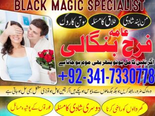 Husband Wife Problem Solution | Real Astrologer In Spain, France, Uk | Kala Jadu Wale Amil baba ka Number Karachi