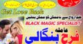 Professional Amil baba, Black magic specialist, Amil Baba in Pakistan, Bangali Baba in Karachi, world Famous Astrologer