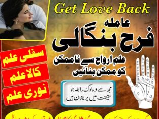 Husband Wife Problem Solution | Real Astrologer In Spain, France, Uk | Kala Jadu Wale Amil baba ka Number Karachi