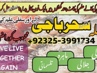 World Wide Hit Top 10 Pakistani AmilBaba /BlackMagic Expert Amila Baji Karachi Famousr Astrologer BABA G ,UK+923253991734