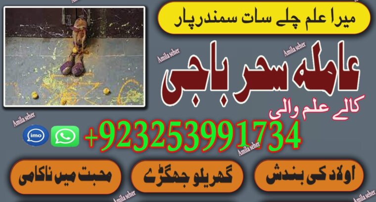 World Wide Hit Top 10 Pakistani AmilBaba /BlackMagic Expert Amila Baji Karachi Famousr Astrologer BABA G ,UK+923253991734