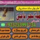 World Wide Hit Top 10 Pakistani AmilBaba /BlackMagic Expert Amila Baji Karachi Famousr Astrologer BABA G ,UK+923253991734