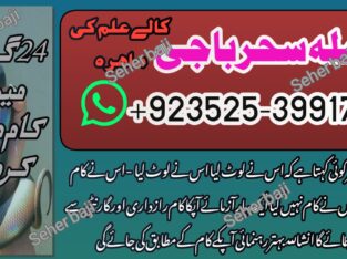 World Wide Hit Top 10 Pakistani AmilBaba /BlackMagic Expert Amila Baji Karachi Famousr Astrologer BABA G ,UK+923253991734