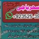 World Wide Hit Top 10 Pakistani AmilBaba /BlackMagic Expert Amila Baji Karachi Famousr Astrologer BABA G ,UK+923253991734