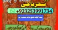 World Wide Hit Top 10 Pakistani AmilBaba /BlackMagic Expert Amila Baji Karachi Famousr Astrologer BABA G ,UK+923253991734