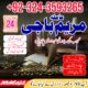 kala jadu krne wale baba |amil baba astrologer online istakahar center ((kala jadu +923243593265