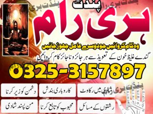 Pakistan no 1 online amil baba+923253157897