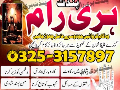 Pakistan no 1 online amil baba+923253157897