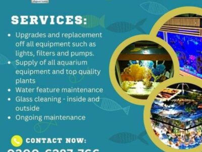 DHC Aquarium service